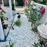 Maison Jula Confort, Relax E Libertà, * Cinquale
